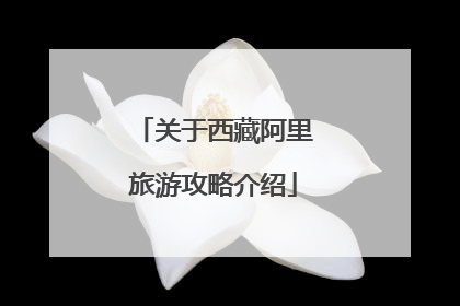 关于西藏阿里旅游攻略介绍