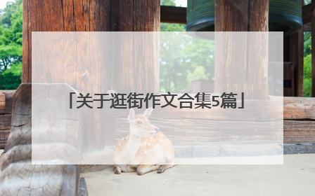 关于逛街作文合集5篇
