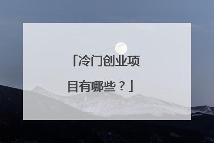 冷门创业项目有哪些?
