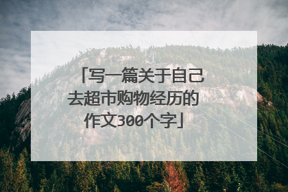 写一篇关于自己去超市购物经历的作文300个字