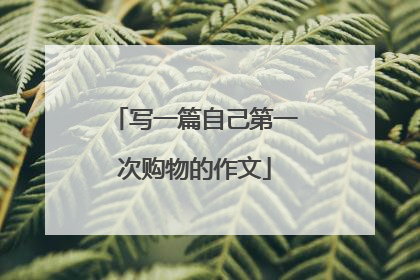 写一篇自己第一次购物的作文