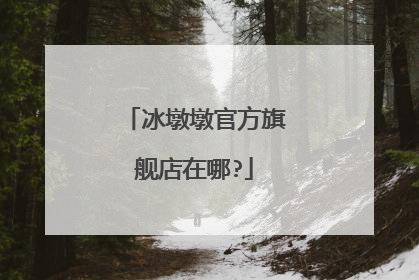 冰墩墩官方旗舰店在哪?