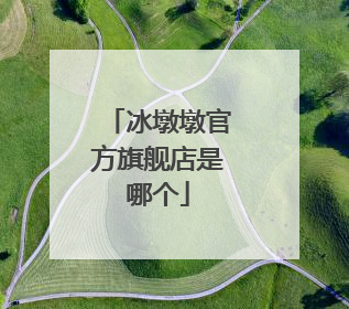 冰墩墩官方旗舰店是哪个