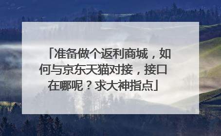 准备做个返利商城,如何与京东天猫对接,接口在哪呢?求大神指点