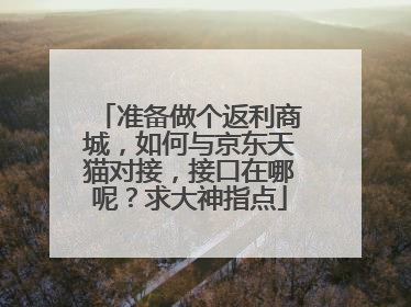 准备做个返利商城,如何与京东天猫对接,接口在哪呢?求大神指点
