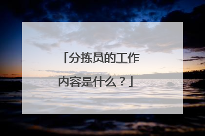 分拣员的工作内容是什么?
