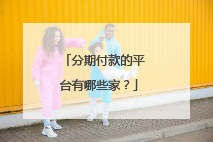 分期付款的平台有哪些家?