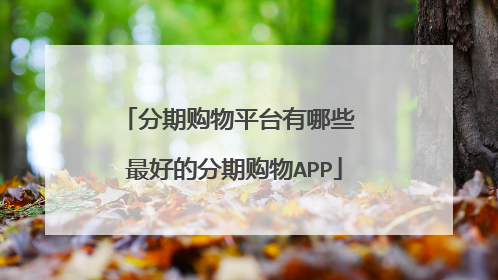 分期购物平台有哪些 最好的分期购物APP