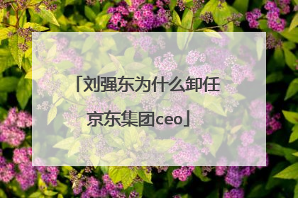 刘强东为什么卸任京东集团ceo