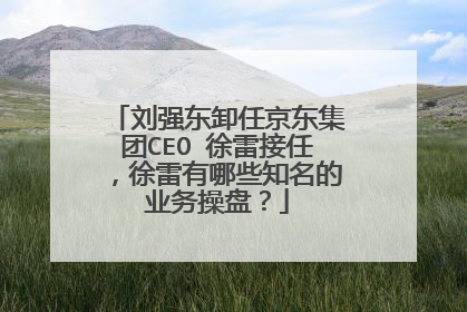 刘强东卸任京东集团CEO 徐雷接任,徐雷有哪些知名的业务操盘?