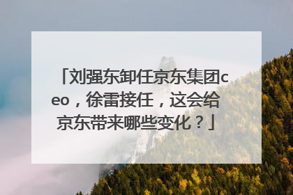 刘强东卸任京东集团ceo,徐雷接任,这会给京东带来哪些变化?