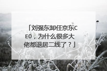 刘强东卸任京东CEO，为什么很多大佬都退居二线了？