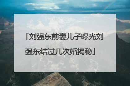 刘强东前妻儿子曝光刘强东结过几次婚揭秘