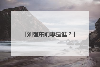 刘强东前妻是谁？