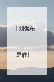 刘强东是谁