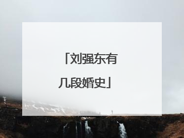 刘强东有几段婚史