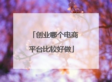 创业哪个电商平台比较好做