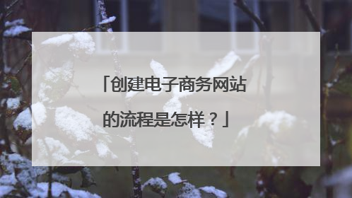 创建电子商务网站的流程是怎样?
