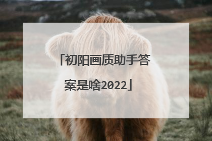 初阳画质助手答案是啥2022