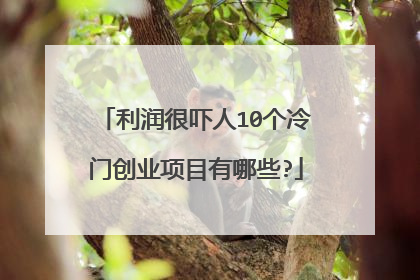 利润很吓人10个冷门创业项目有哪些?