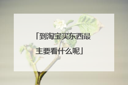 到淘宝买东西最主要看什么呢