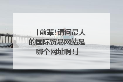 前辈!请问最大的国际贸易网站是哪个网址啊!