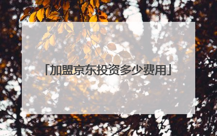 加盟京东投资多少费用
