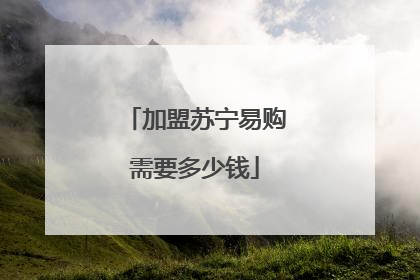 加盟苏宁易购需要多少钱