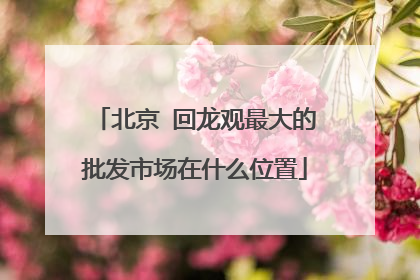 北京 回龙观最大的批发市场在什么位置