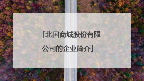 北国商城股份有限公司的企业简介