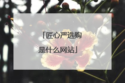 匠心严选购是什么网站