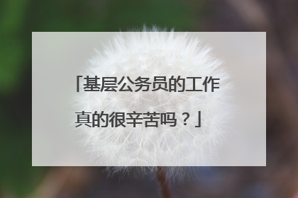 基层公务员的工作真的很辛苦吗?