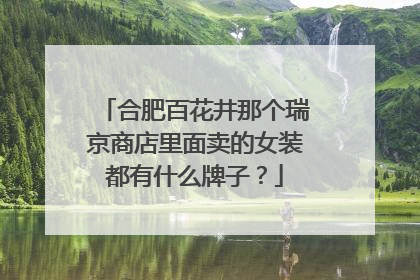 合肥百花井那个瑞京商店里面卖的女装都有什么牌子?