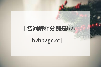 名词解释分别是b2cb2bb2gc2c
