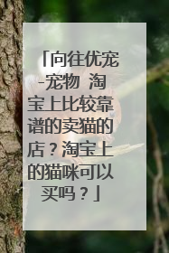 向往优宠-宠物 淘宝上比较靠谱的卖猫的店?淘宝上的猫咪可以买吗?