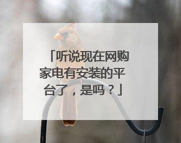 听说现在网购家电有安装的平台了,是吗?
