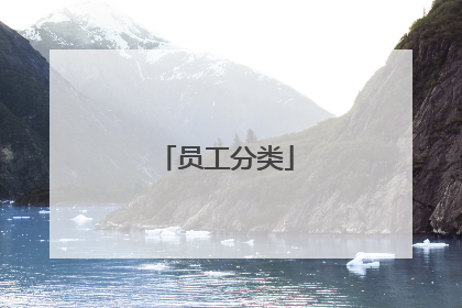 员工分类