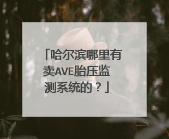 哈尔滨哪里有卖AVE胎压监测系统的？