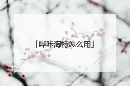 哔咔淘特怎么用