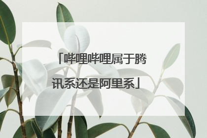 哔哩哔哩属于腾讯系还是阿里系