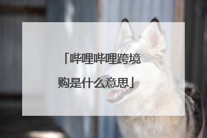 哔哩哔哩跨境购是什么意思