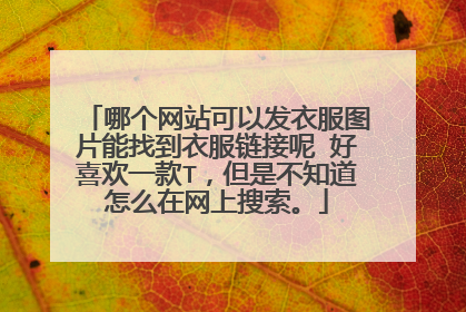 哪个网站可以发衣服图片能找到衣服链接呢 好喜欢一款T,但是不知道怎么在网上搜索。