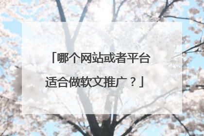 哪个网站或者平台适合做软文推广?