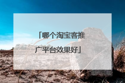 哪个淘宝客推广平台效果好