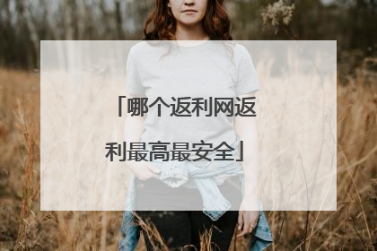 哪个返利网返利最高最安全