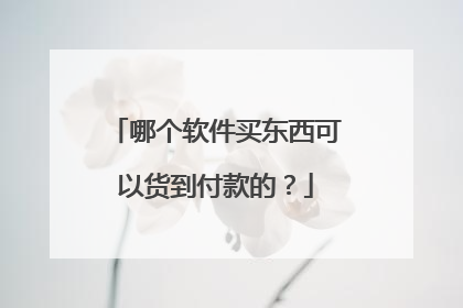 哪个软件买东西可以货到付款的?