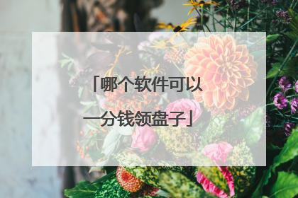哪个软件可以一分钱领盘子
