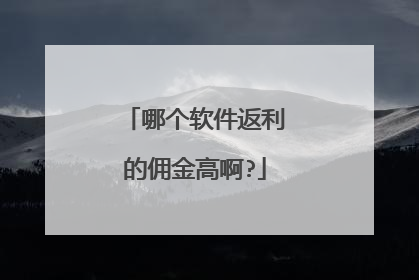哪个软件返利的佣金高啊?