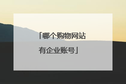 哪个购物网站有企业账号
