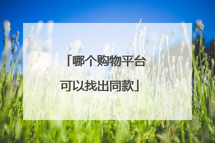 哪个购物平台可以找出同款